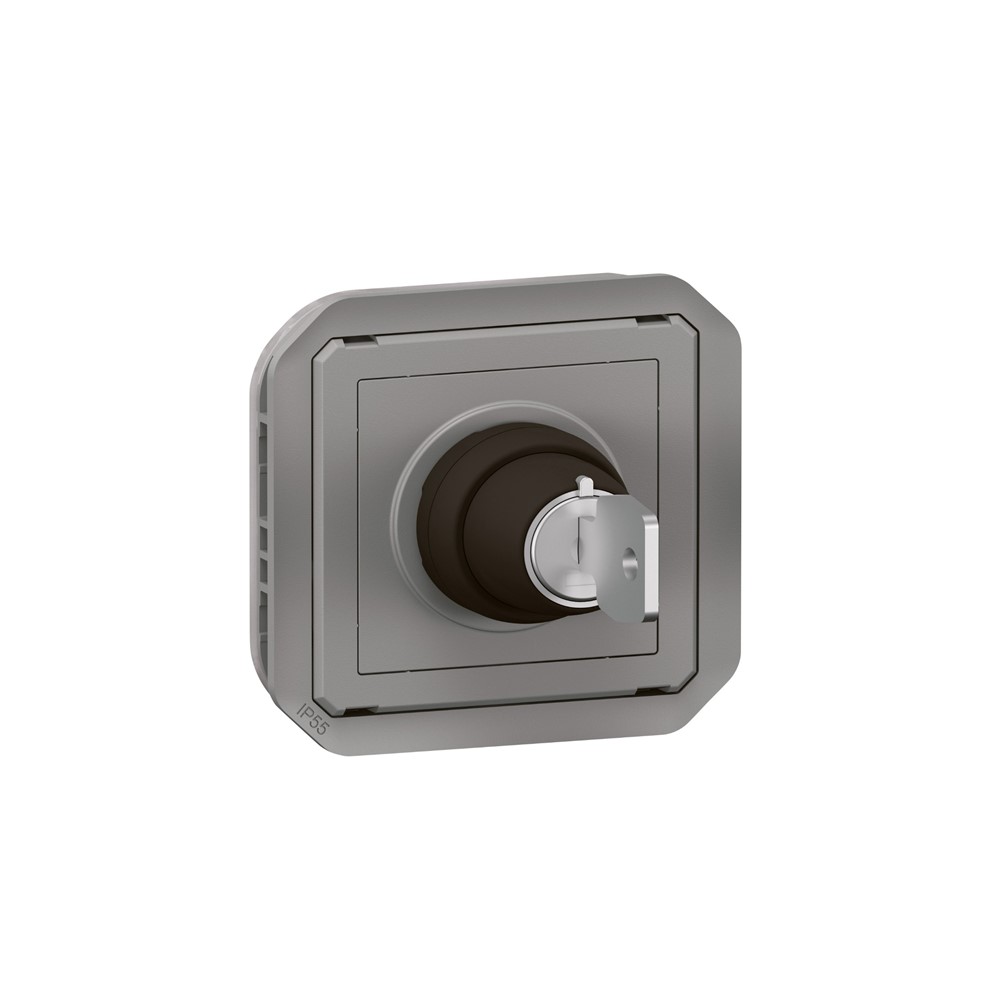 LG-069534L Механизъм с ключалка Plexo New, IP55, 2 позиции, 2 NO контакта, сив, Legrand_small