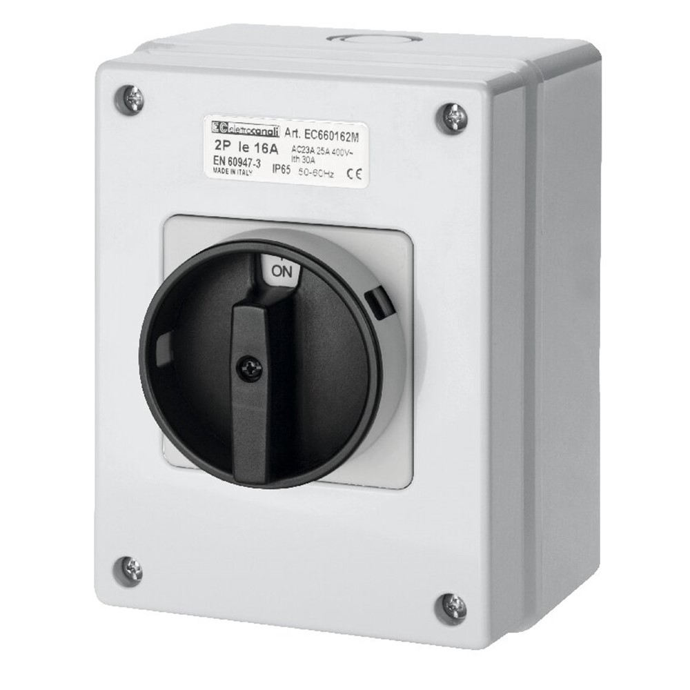 EC660322M Товаров прекъсвач с кутия, 32A/2P в кутия IP65, черен, Elettrocanali_small