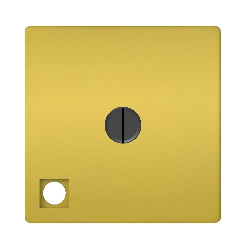FD03111-OB Ротативен ключ с подсветка, цвят Bright Gold, Fede_small