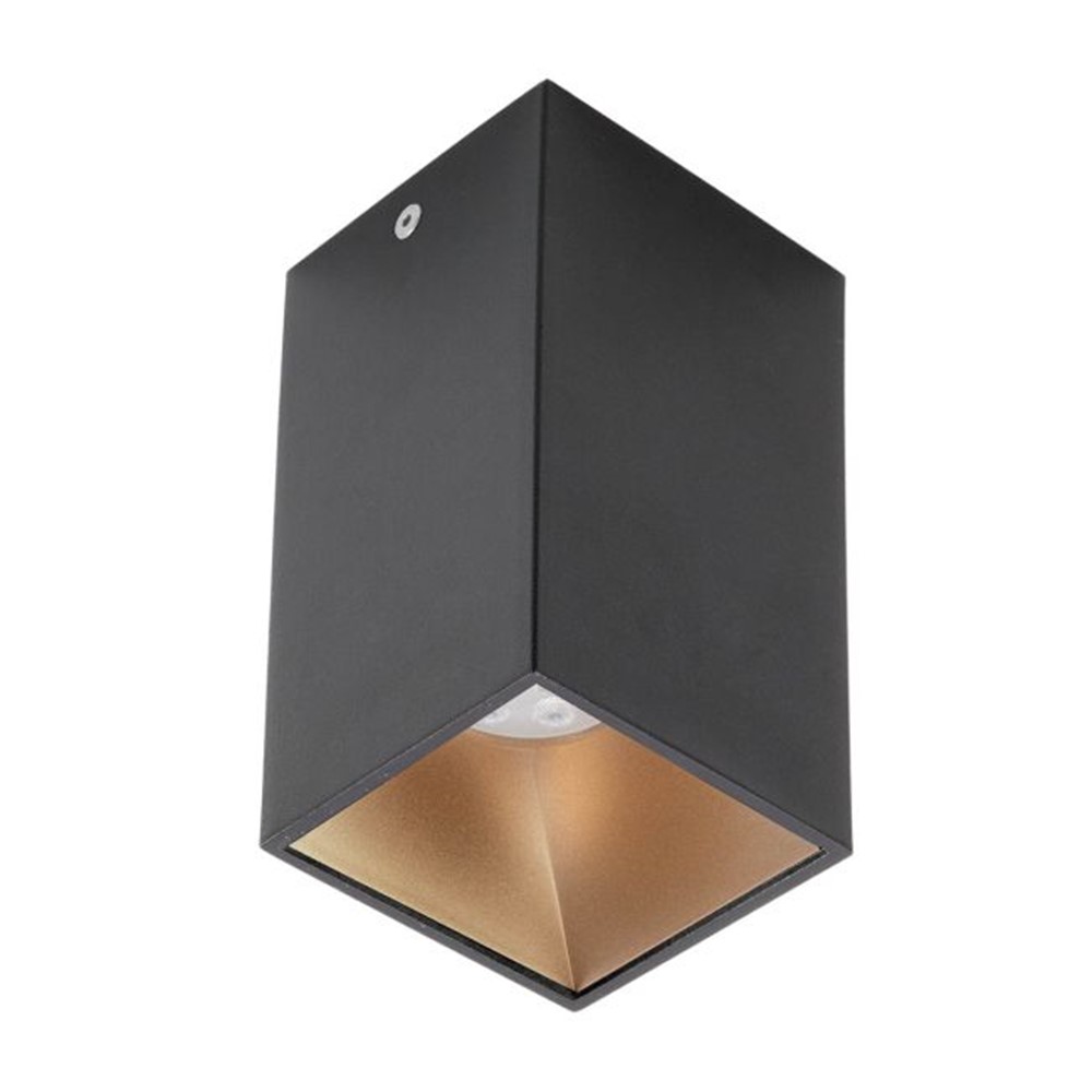 NR02 SBK/SGD Луна XNITRO, GU10/PAR16 1x50W, ОМ, IP20, Sand black/satin gold, Arelux_small